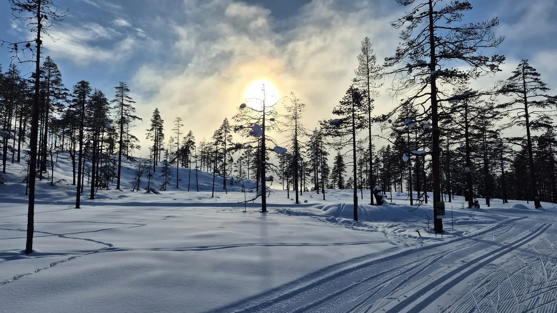 Turufjell. Foto: Anne-May Enger